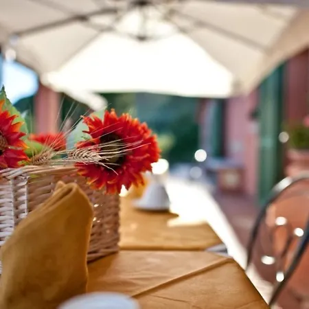 Farm stay Podere Chiaromonte *